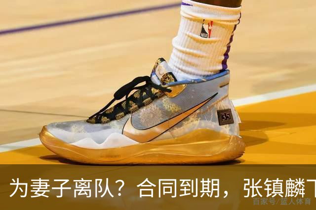 为妻子离队？合同到期，张镇麟下家4选1，广东2队有机会