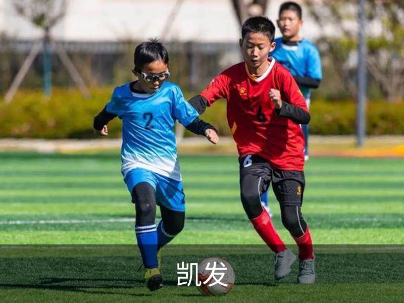 凯发简介