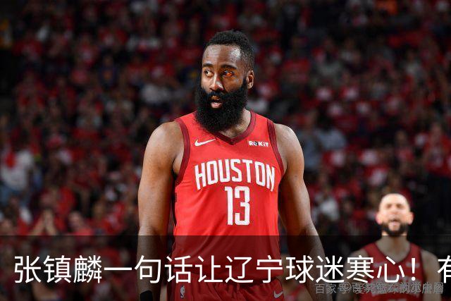 张镇麟一句话让辽宁球迷寒心！有些话不能说得太直白，耗子尾汁吧